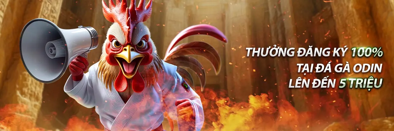 Tin tức thể thao z88